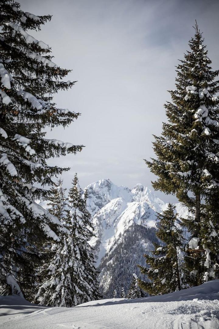 Zederberg Appartements Sankt Johann im Pongau Εξωτερικό φωτογραφία