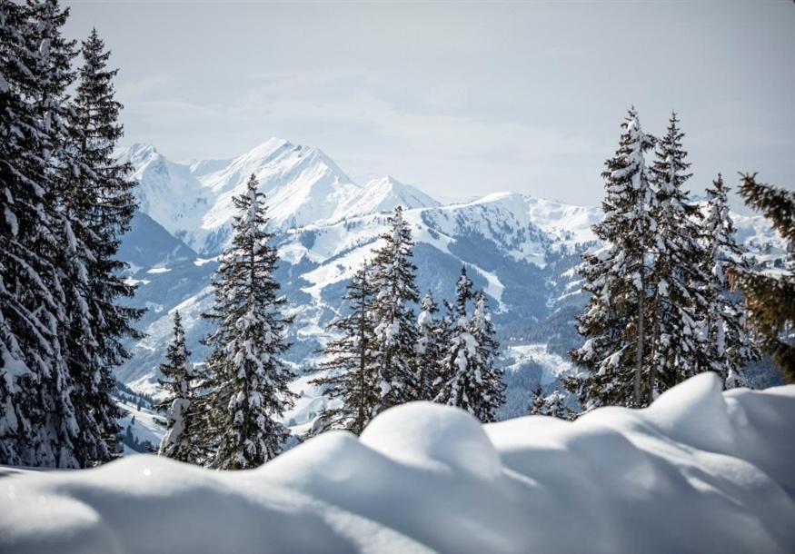 Zederberg Appartements Sankt Johann im Pongau Εξωτερικό φωτογραφία